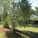 מלון Rosati קיוזי