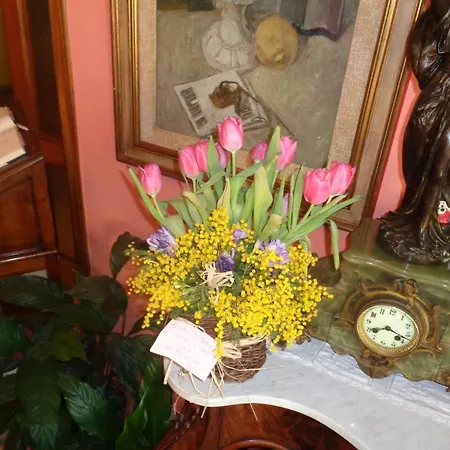 Rosati Chiusi